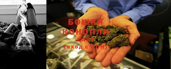 спиды Касимов